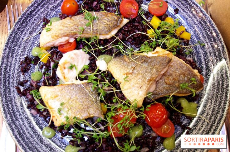 Les Fous de l'île : dorade royale