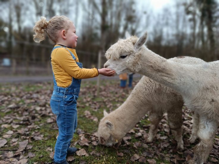 Malowe Nature, ferme en permaculture et étangs de pêche : nouveautés 2024