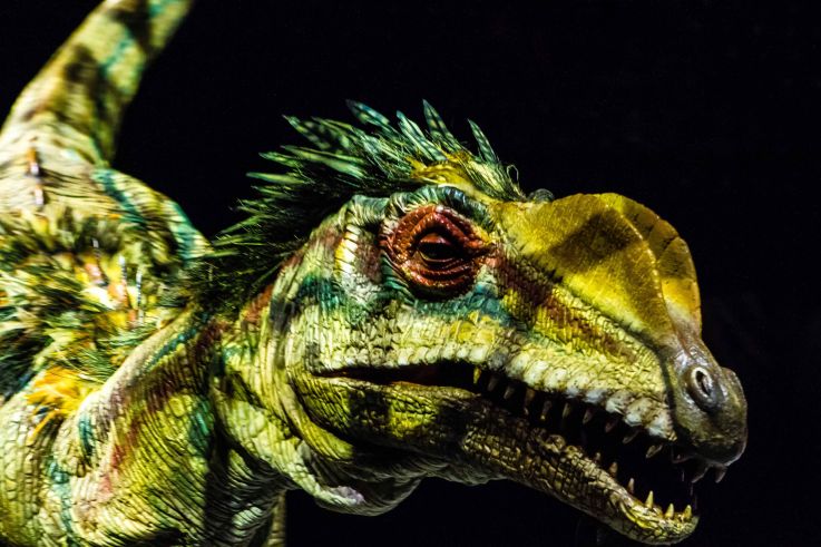 La Marche des Dinosaures à l’AccorHotels Arena : gagnez vos places
