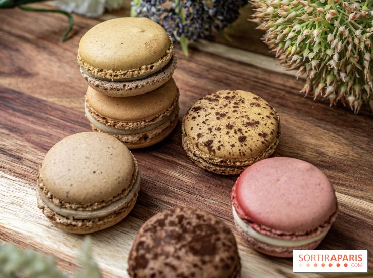 Pierre Hermé Macaron