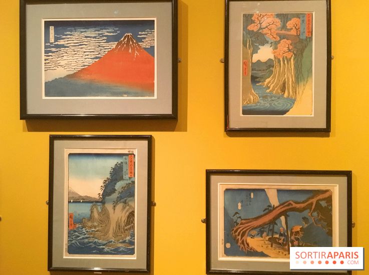 Monet Collectionneur, les photos de l'exposition 