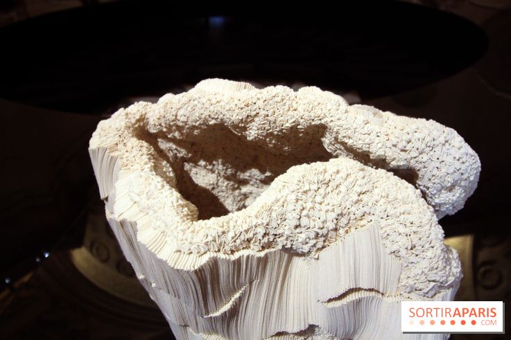 Un monde de plis à la chapelle Expiatoire