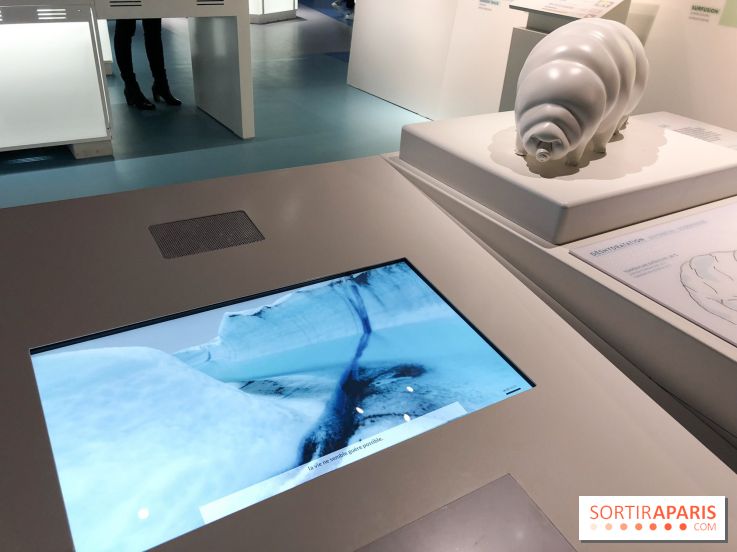 Froid à la Cité des Sciences