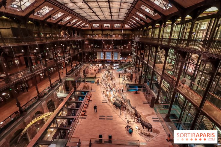 Le Cabinet de Réalité Virtuelle du Muséum national d'Histoire naturelle