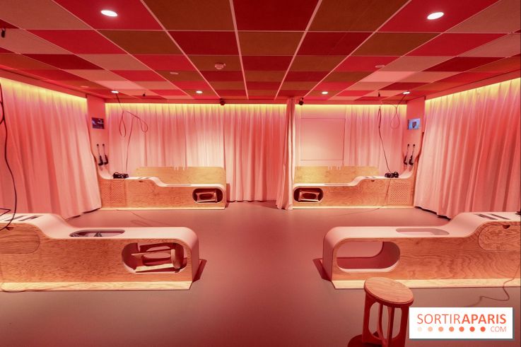 Le Cabinet de Réalité Virtuelle du Muséum national d'Histoire naturelle