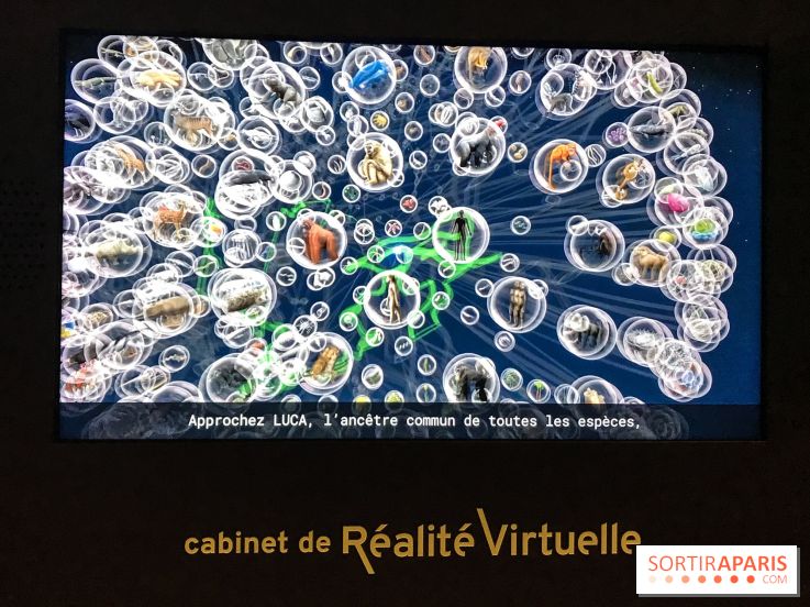 Le Cabinet de Réalité Virtuelle du Muséum national d'Histoire naturelle