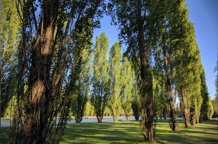 Les meilleures randonnées pour chiller au bord de l'eau près de Paris