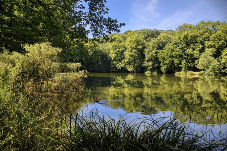 Les meilleures randonnées pour chiller au bord de l'eau près de Paris