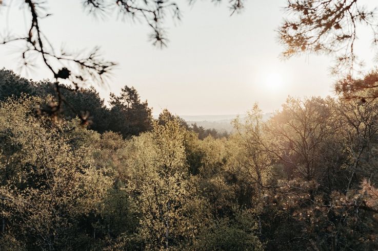 Les meilleures randonnées pour (vraiment) s'évader de Paris 