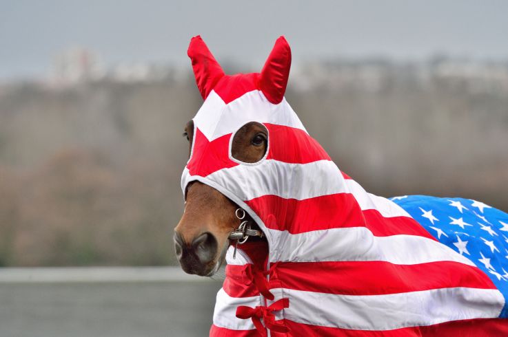 Le Grand Prix d'Amérique 2020 fête ses 100 ans à Vincennes - Hippodrome de Paris