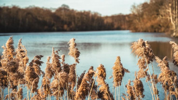 Déconfinement : les randonnées campagnes et forêts à découvrir autour de Paris 