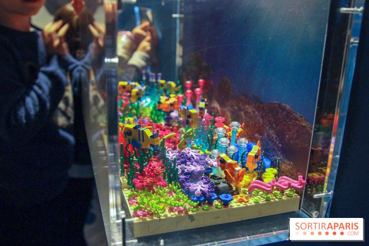 Les 60 ans de LEGO® à l'Aquarium de Paris