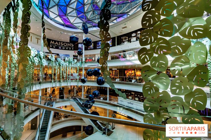 Exposition Monstera Dubia à Beaugrenelle