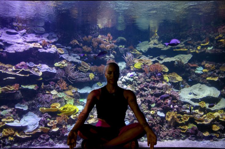 YogAquarium : du yoga, en famille à l'Aquarium de Paris