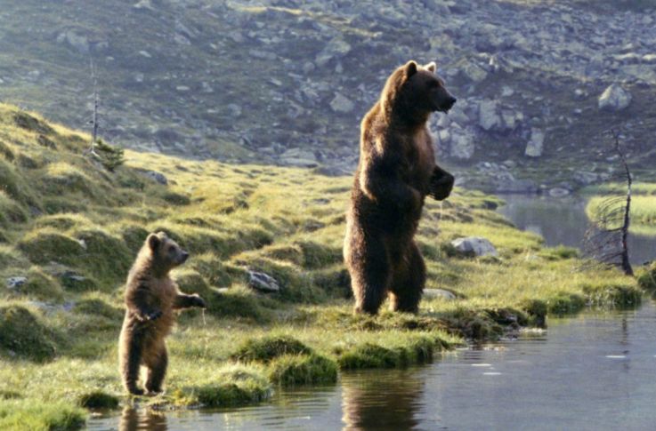 Le top des films et séries pour enfants à voir sur OCS