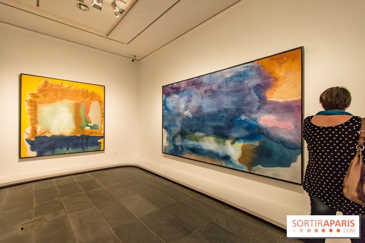 Les Nymphéas et artistes abstraits au Musée de l'Orangerie