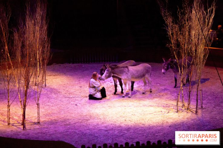 Nature, le spectacle équestre à Chantilly