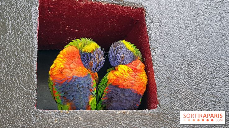 Zoo de Thoiry 2018 : les photos