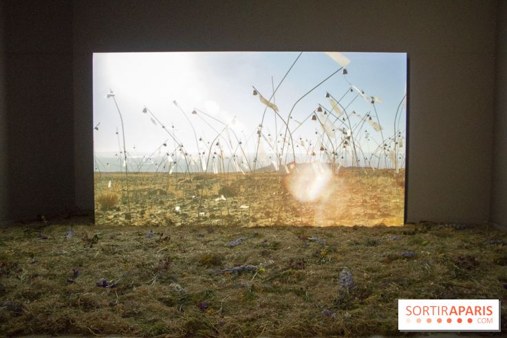 Nocturne dédiée au monde Kawaii à la Fondation Louis Vuitton : les photos