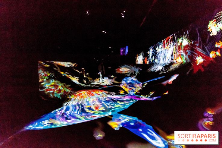 Teamlab : au delà des limites à la Villette, les photos