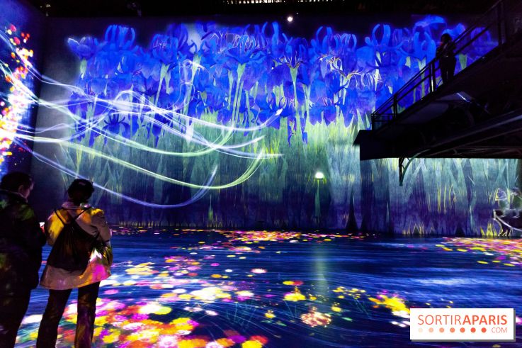 Teamlab : au delà des limites à la Villette, les photos