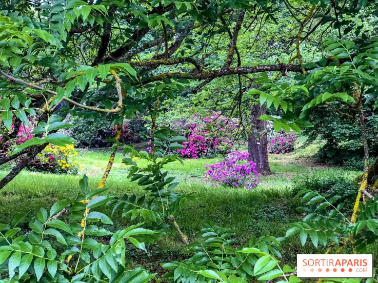 L'Arboretum de Versailles - Chevreloup