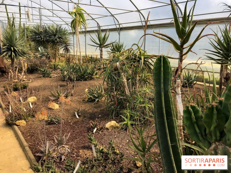 L'Arboretum de Versailles - Chevreloup