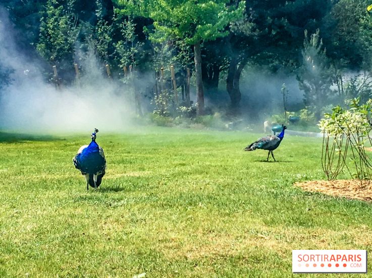 Le Jardin d'Acclimatation dévoile son nouveau visage et ses attractions, les photos