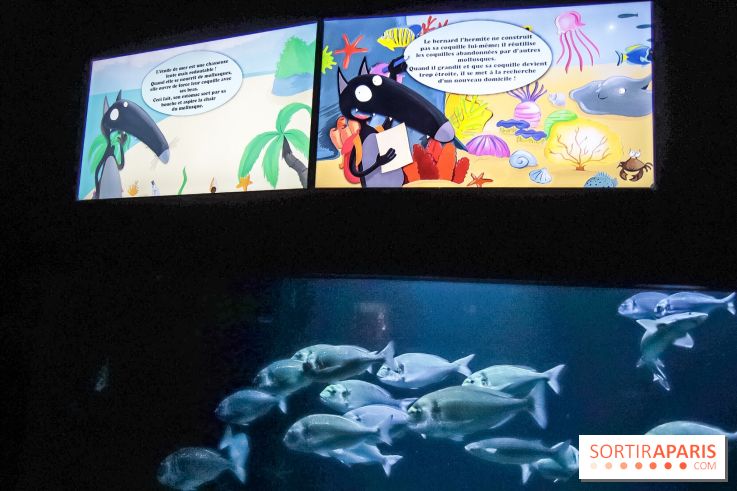 Loup préserve les océans à l'Aquarium de Paris, les photos