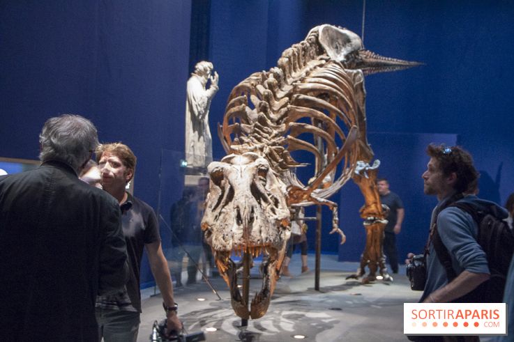 Un T-Rex à Paris : les photos