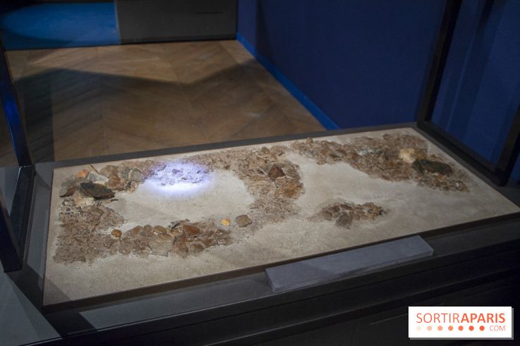 Un T-Rex à Paris : les photos