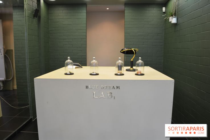 BlueDreamLab le spécialiste de la vente de cannabis CBD