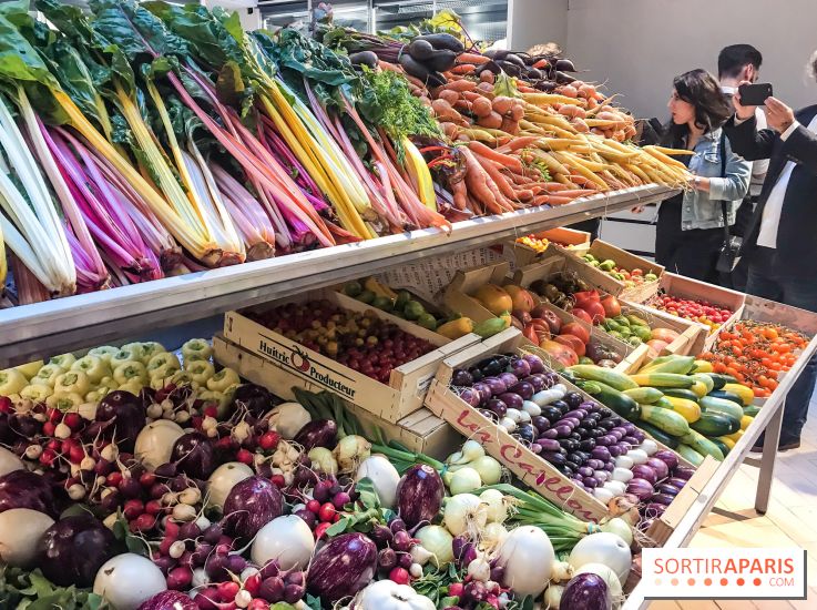 Maison Plisson 2, inauguration