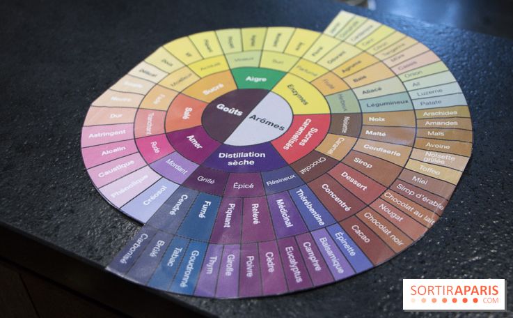 Initiation "autour du café" chez Comptoirs Richard : les photos