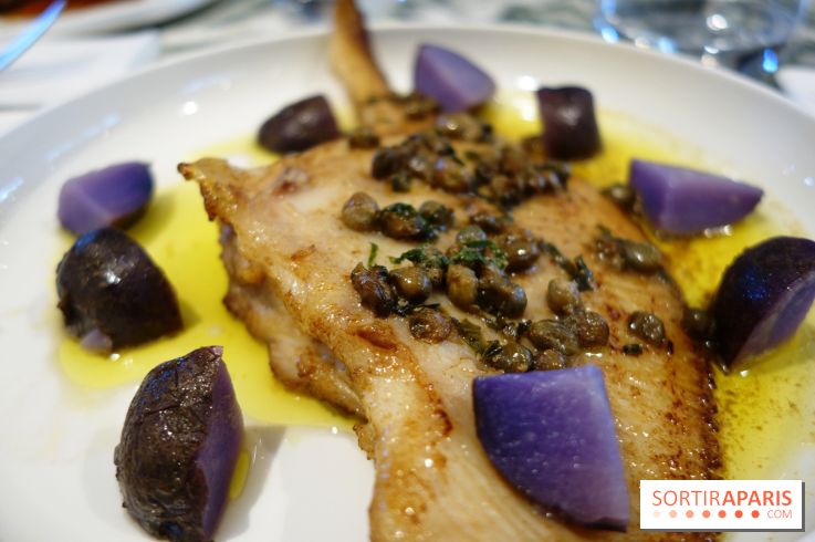 Zebra par Alexandre Giesbert et Julien Ross dans le 16e à Paris