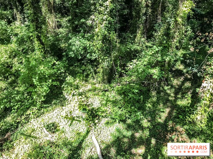 AccroCamp, l'accrobranche des Boucles de Seine