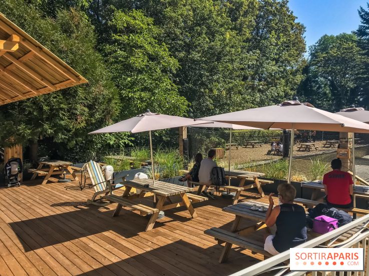 Accrocamp, l'accrobranche de Rueil