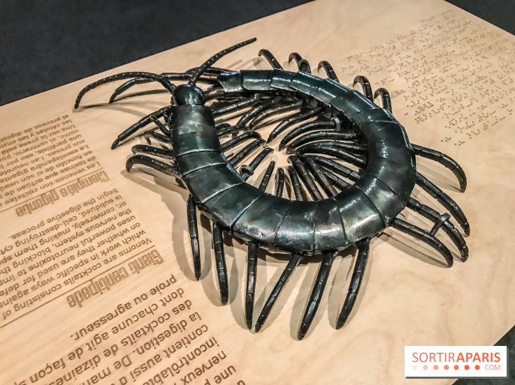 Poison au Palais de la Découverte, les photos 