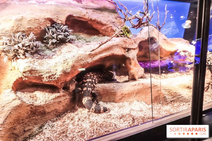 Poison au Palais de la Découverte, les photos