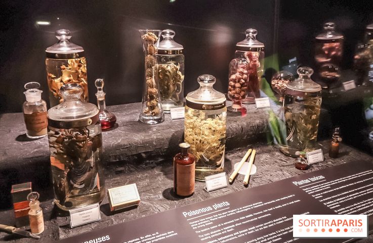 Poison au Palais de la Découverte, les photos 