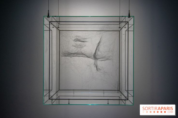 Carte Blanche à Tomas Saraceno au Palais de Tokyo