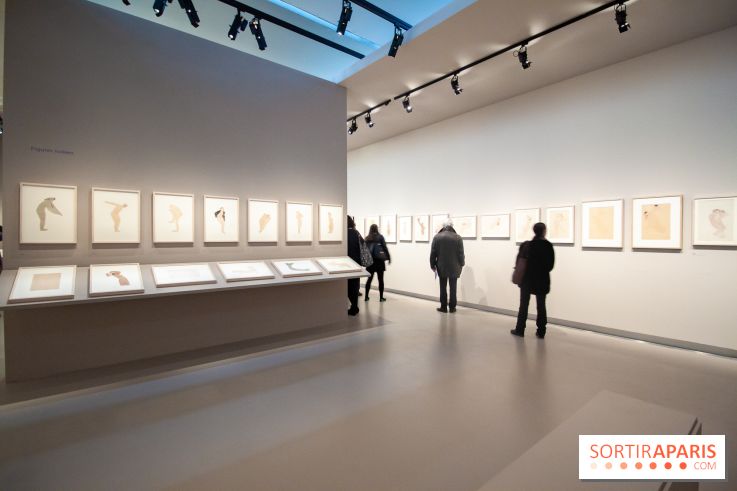 Rodin, dessiner, découper au musée Rodin