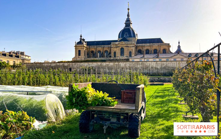Les Saveurs du Potager du Roi à Versailles : marché de fruits & légumes, expositions et animations