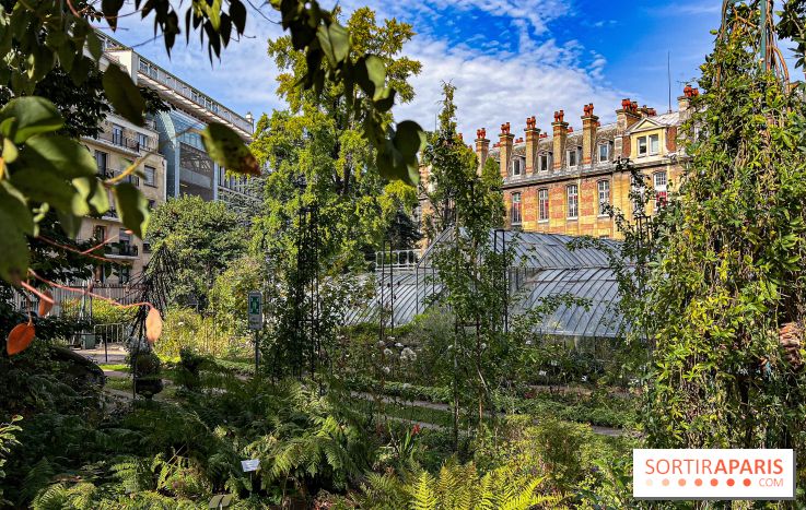 Le jardin botanique de la Faculté de Pharmacie en visite