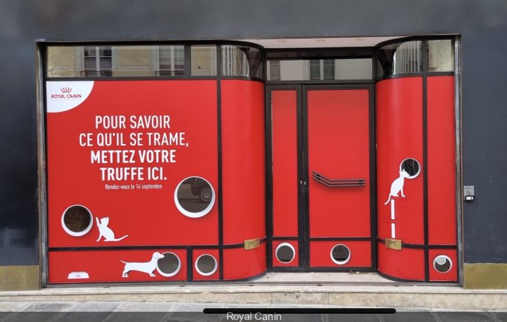Like Dog and Cat: Concept Store 