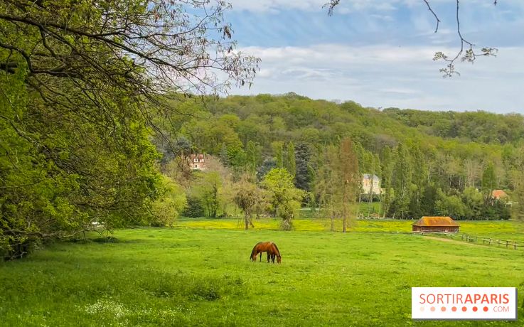 La balade-randonnée bucolique de Jouy-en-Josas à l'Aqueduc de Buc (78), à faire en famille