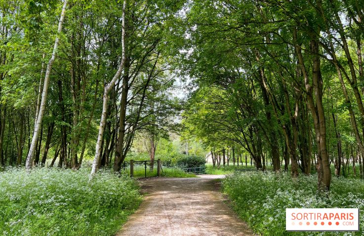 La balade-randonnée bucolique de Jouy-en-Josas à l'Aqueduc de Buc (78), à faire en famille