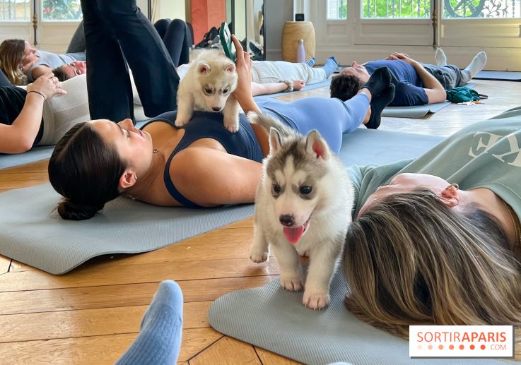 Puppy Yoga Paris, des séances de yoga tout en câlins avec d'adorables chiots - Prochaines dates