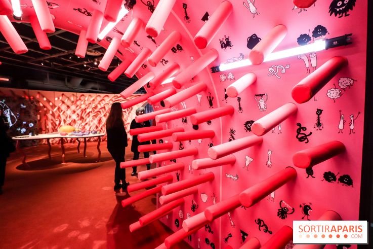 Microbiote, l'exposition à la Cité des Sciences