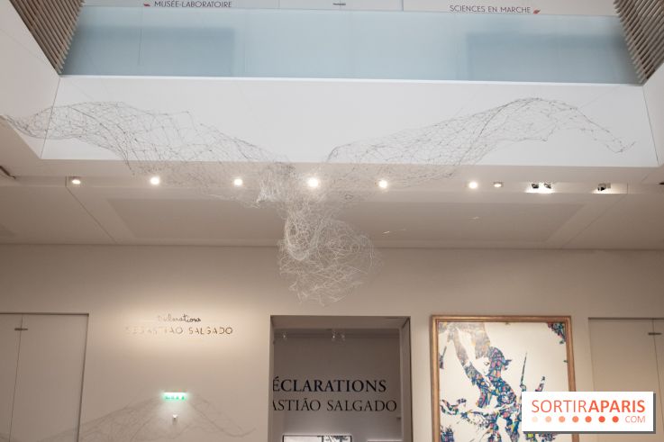 Sebastiao Salgado, l'expo photo au Musée de l'Homme